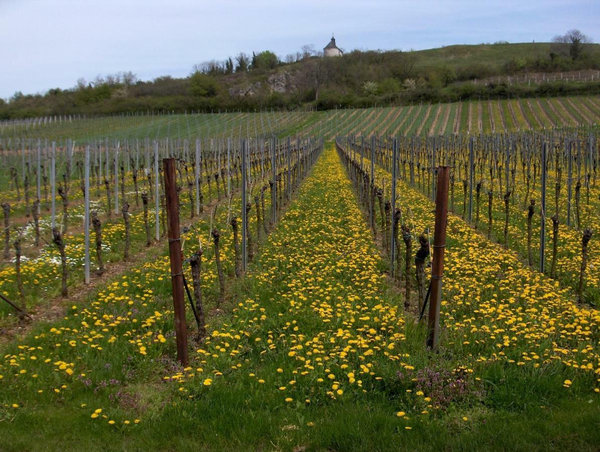 Wein-Domizil Brennofen 호텔 Ilbesheim bei Landau in der Pfalz 외부 사진